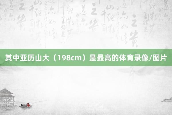 其中亚历山大（198cm）是最高的体育录像/图片