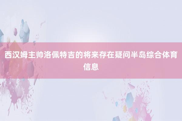 西汉姆主帅洛佩特吉的将来存在疑问半岛综合体育信息
