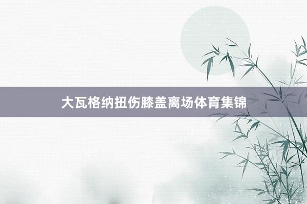 大瓦格纳扭伤膝盖离场体育集锦