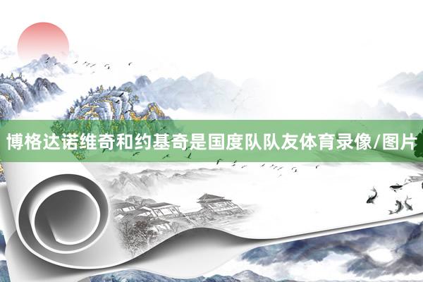 博格达诺维奇和约基奇是国度队队友体育录像/图片