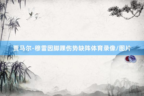 贾马尔-穆雷因脚踝伤势缺阵体育录像/图片