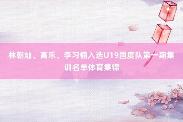 林朝灿、高乐、李习楠入选U19国度队第一期集训名单体育集锦
