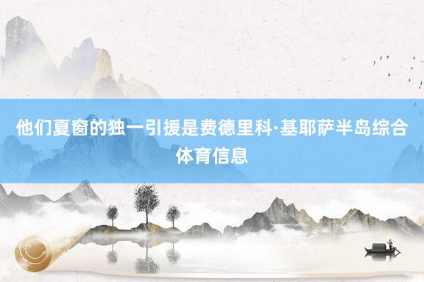他们夏窗的独一引援是费德里科·基耶萨半岛综合体育信息
