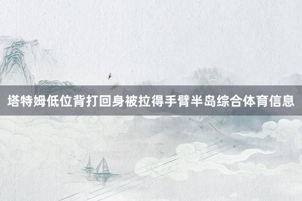 塔特姆低位背打回身被拉得手臂半岛综合体育信息