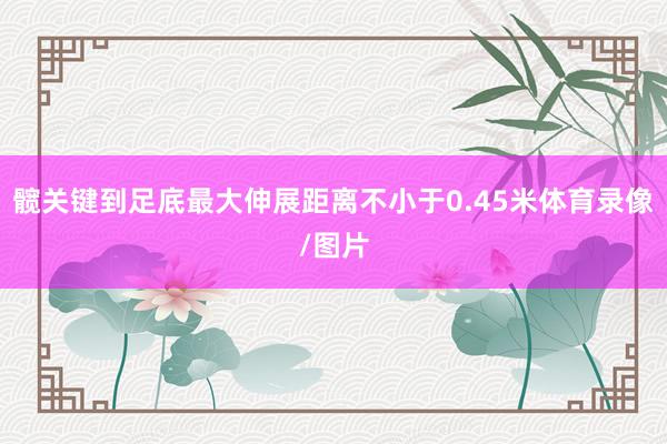 髋关键到足底最大伸展距离不小于0.45米体育录像/图片