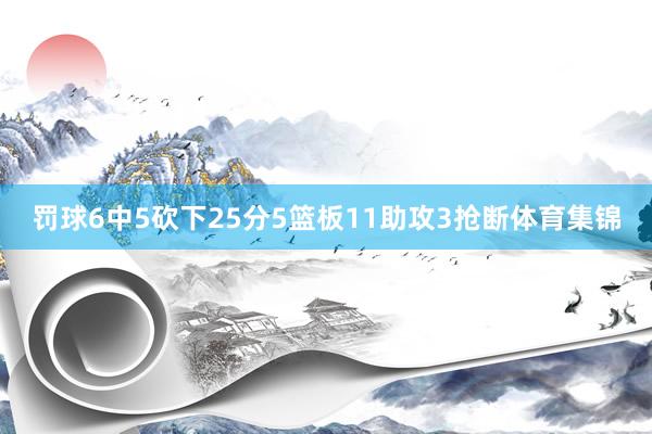 罚球6中5砍下25分5篮板11助攻3抢断体育集锦