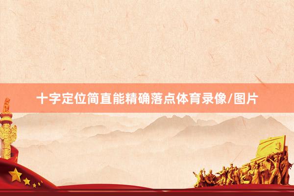 十字定位简直能精确落点体育录像/图片