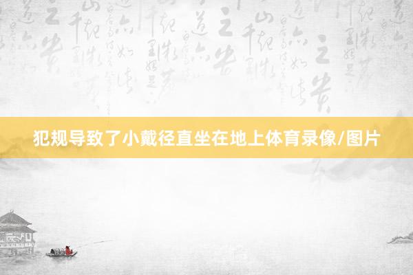 犯规导致了小戴径直坐在地上体育录像/图片