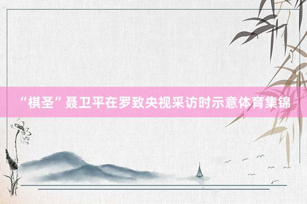 “棋圣”聂卫平在罗致央视采访时示意体育集锦