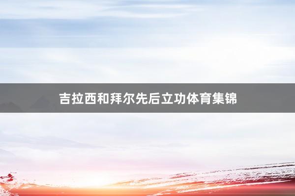 吉拉西和拜尔先后立功体育集锦