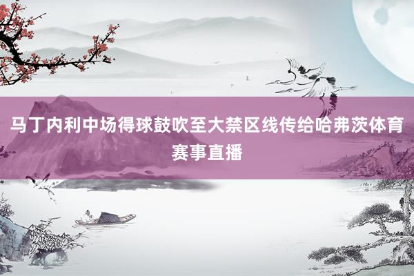 马丁内利中场得球鼓吹至大禁区线传给哈弗茨体育赛事直播
