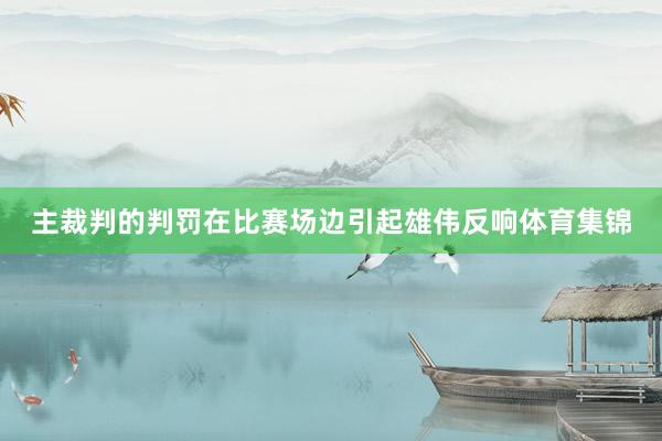 主裁判的判罚在比赛场边引起雄伟反响体育集锦