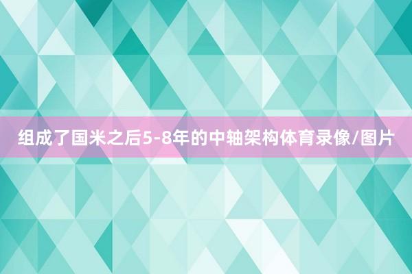 组成了国米之后5-8年的中轴架构体育录像/图片