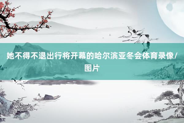 她不得不退出行将开幕的哈尔滨亚冬会体育录像/图片