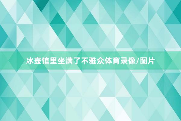 冰壶馆里坐满了不雅众体育录像/图片