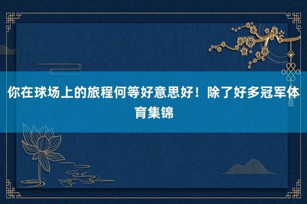 你在球场上的旅程何等好意思好！除了好多冠军体育集锦