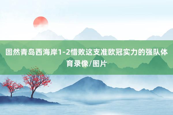 固然青岛西海岸1-2惜败这支准欧冠实力的强队体育录像/图片