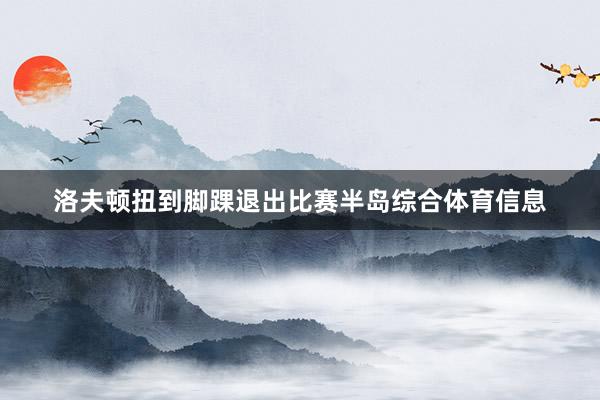 洛夫顿扭到脚踝退出比赛半岛综合体育信息