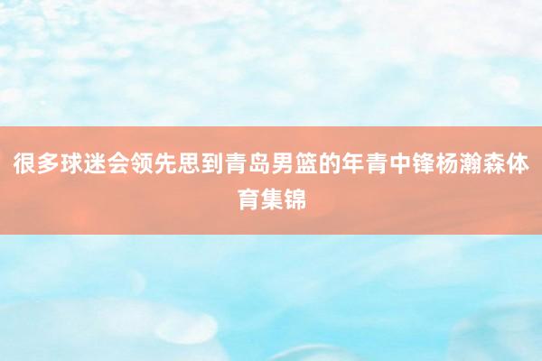 很多球迷会领先思到青岛男篮的年青中锋杨瀚森体育集锦