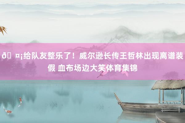 🤡给队友整乐了！威尔逊长传王哲林出现离谱装假 血布场边大笑体育集锦