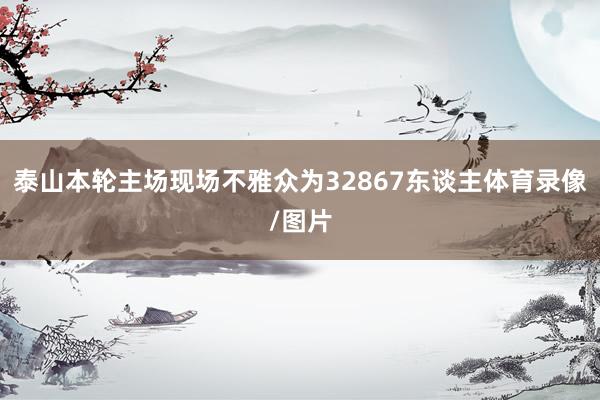 泰山本轮主场现场不雅众为32867东谈主体育录像/图片
