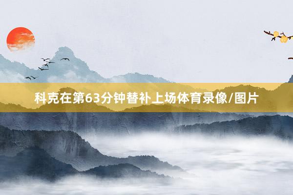 科克在第63分钟替补上场体育录像/图片