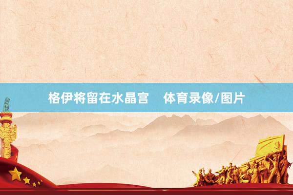 格伊将留在水晶宫    体育录像/图片