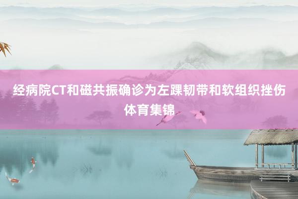 经病院CT和磁共振确诊为左踝韧带和软组织挫伤体育集锦