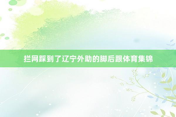 拦网踩到了辽宁外助的脚后跟体育集锦