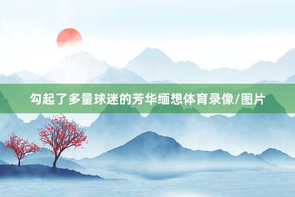 勾起了多量球迷的芳华缅想体育录像/图片