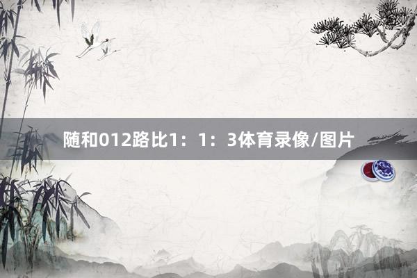 随和012路比1：1：3体育录像/图片