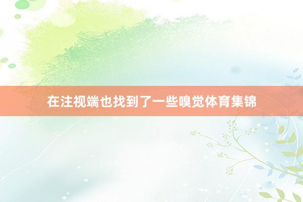 在注视端也找到了一些嗅觉体育集锦