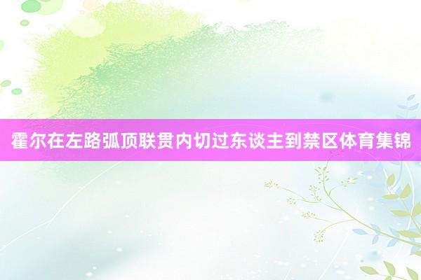 霍尔在左路弧顶联贯内切过东谈主到禁区体育集锦