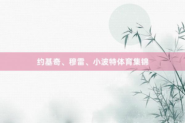 约基奇、穆雷、小波特体育集锦