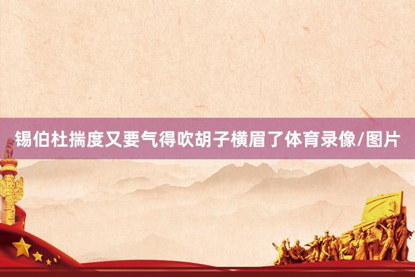 锡伯杜揣度又要气得吹胡子横眉了体育录像/图片