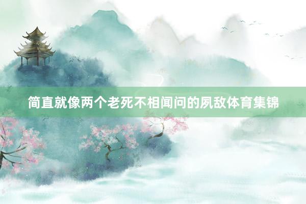 简直就像两个老死不相闻问的夙敌体育集锦