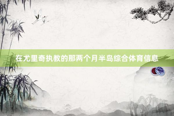 在尤里奇执教的那两个月半岛综合体育信息