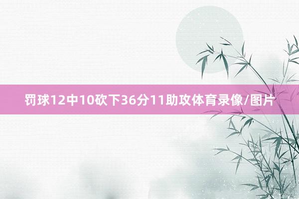 罚球12中10砍下36分11助攻体育录像/图片
