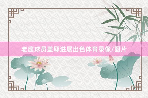 老鹰球员盖耶进展出色体育录像/图片