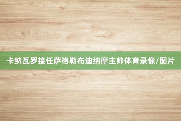 卡纳瓦罗接任萨格勒布迪纳摩主帅体育录像/图片