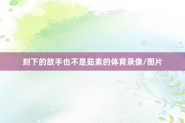 刻下的敌手也不是茹素的体育录像/图片