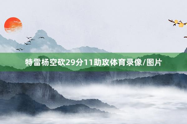 特雷杨空砍29分11助攻体育录像/图片