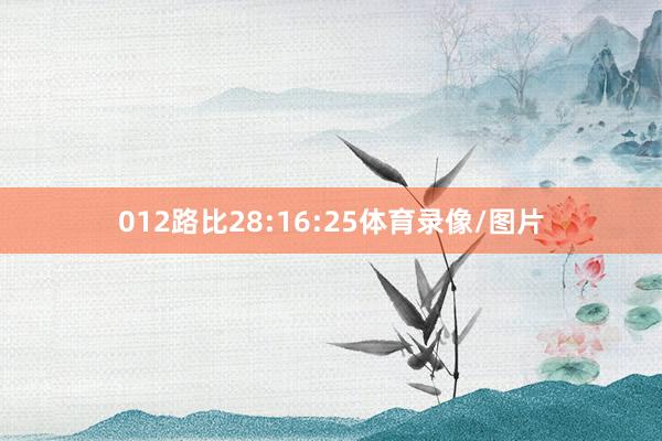 012路比28:16:25体育录像/图片