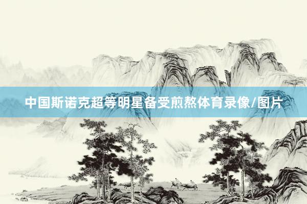中国斯诺克超等明星备受煎熬体育录像/图片