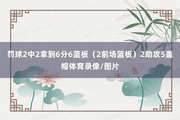 罚球2中2拿到6分6篮板（2前场篮板）2助攻5盖帽体育录像/图片