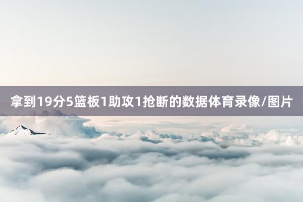 拿到19分5篮板1助攻1抢断的数据体育录像/图片