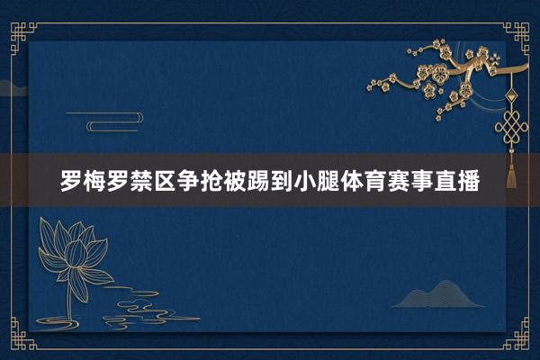 罗梅罗禁区争抢被踢到小腿体育赛事直播