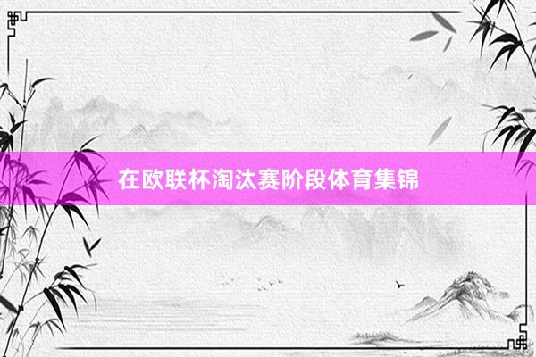 在欧联杯淘汰赛阶段体育集锦