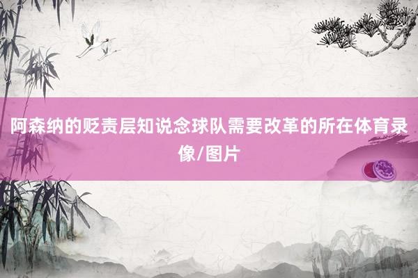 阿森纳的贬责层知说念球队需要改革的所在体育录像/图片