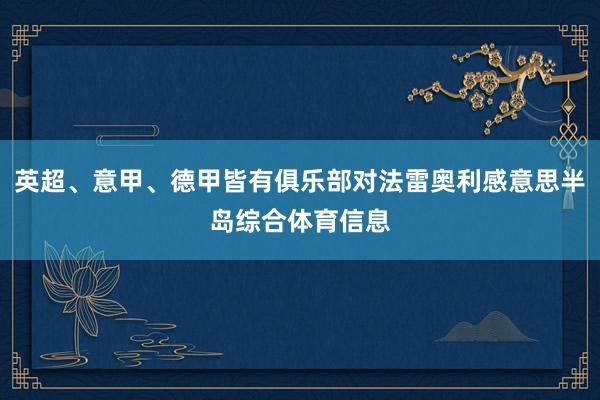 英超、意甲、德甲皆有俱乐部对法雷奥利感意思半岛综合体育信息